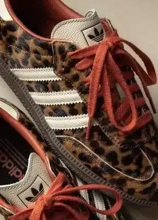 Samba Leopar