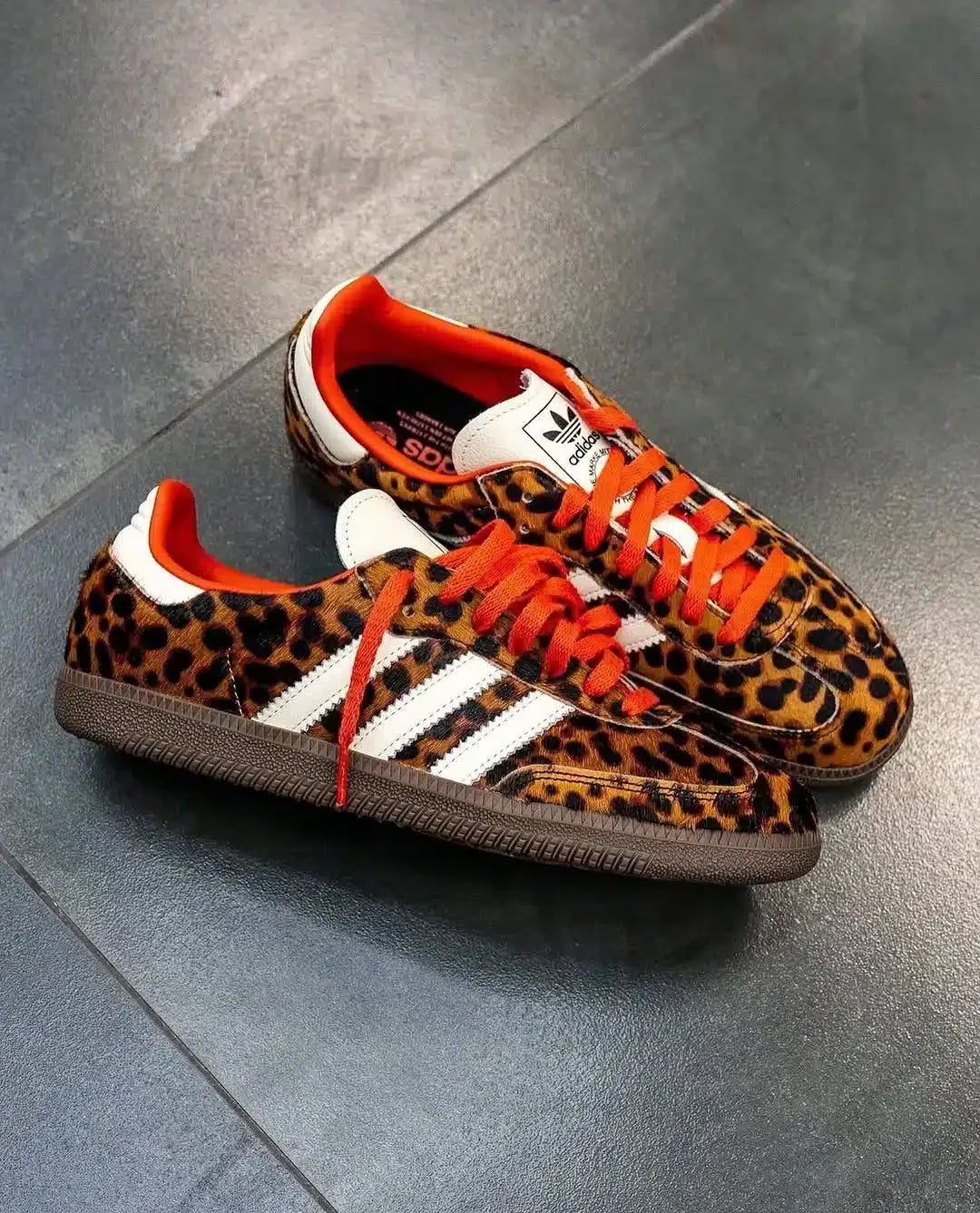 Samba Leopar