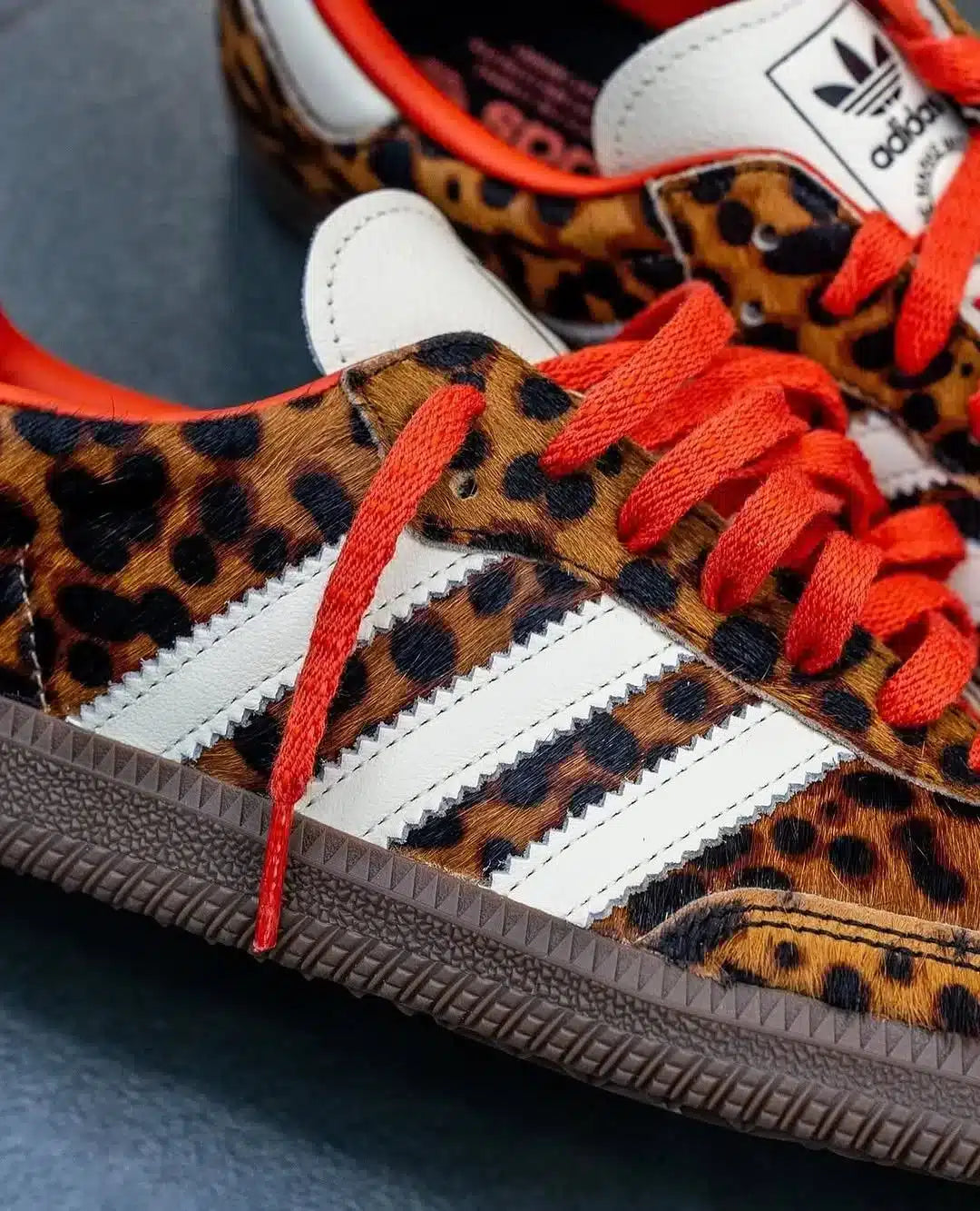 Samba Leopar